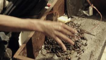 Screenshot 3 from The Seventh Fire (Full Movie)