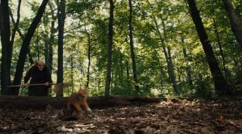 Screenshot 1 from The Smurfs (Full Movie)