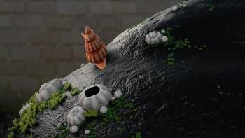 Screenshot 2 from The Snail and the Whale (Full Movie)