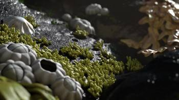 Screenshot 3 from The Snail and the Whale (Full Movie)