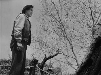 Screenshot 2 from The Song of Bernadette (Full Movie)