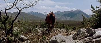 Screenshot 1 from The Sons of Great Bear (Full Movie)