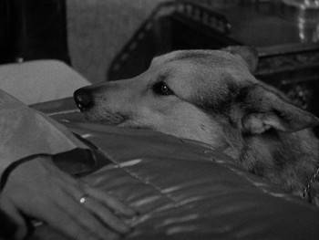 Screenshot 1 from The Soul of a Monster (Full Movie)