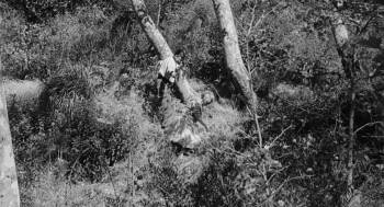 Screenshot 1 from The Spider (Full Movie)