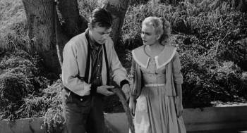 Screenshot 2 from The Spider (Full Movie)