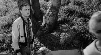 Screenshot 3 from The Spider (Full Movie)