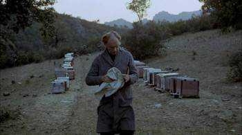 Screenshot 3 from The Spirit of the Beehive (Full Movie)
