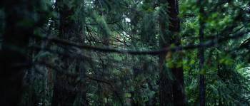 Screenshot 1 from The Stalking Fields (Full Movie)
