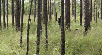 Screenshot 2 from The Starving Games (Full Movie)