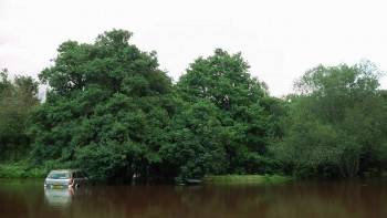 Screenshot 1 from The Story of Looking (Full Movie)