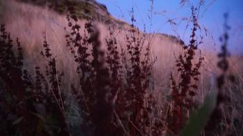 Screenshot 2 from The Story of Looking (Full Movie)