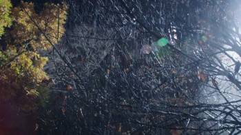 Screenshot 2 from The Story of Robin Hood and His Merrie Men (Full Movie)