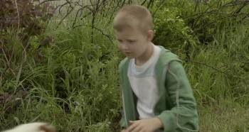 Screenshot 1 from The Stray (Full Movie)