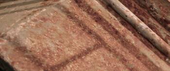 Screenshot 3 from The Survival of Kindness (Full Movie)