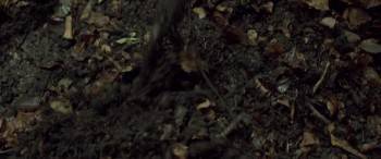 Screenshot 2 from The Survivalist (Full Movie)