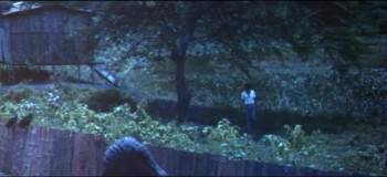 Screenshot 3 from The Swamp of the Ravens (Full Movie)
