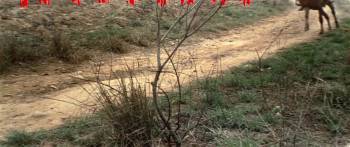 Screenshot 2 from The Swordsman of All Swordsmen (Full Movie)