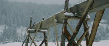 Screenshot 2 from The Timber (Full Movie)