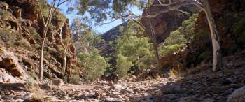 Screenshot 1 from The Tracker (Full Movie)