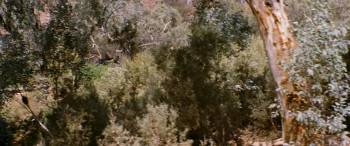Screenshot 3 from The Tracker (Full Movie)