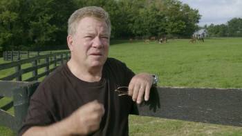 Screenshot 3 from The Truth Is in the Stars (Full Movie)