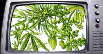 Screenshot 1 from The Union: The Business Behind Getting High (Full Movie)