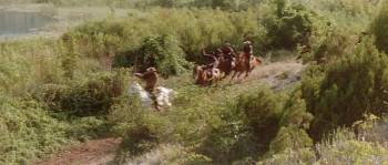 Screenshot 1 from The Valley of Death (Full Movie)