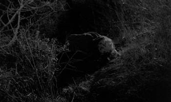 Screenshot 2 from The Vampire and the Ballerina (Full Movie)
