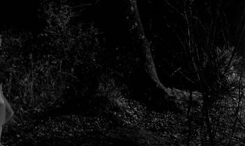 Screenshot 3 from The Vampire and the Ballerina (Full Movie)