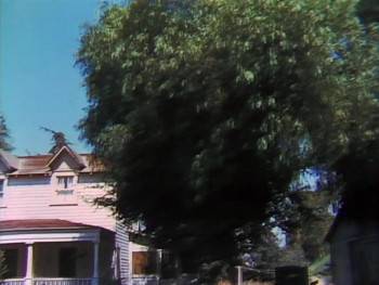 Screenshot 3 from The Waltons: A Decade of the Waltons (Full Movie)