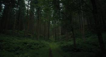 Screenshot 1 from The Watchers (Full Movie)