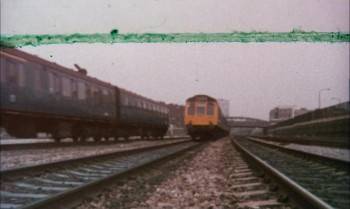 Screenshot 2 from The Wild Little Bunch (Full Movie)