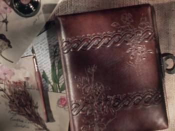 Screenshot 2 from The Wind in the Willows (Full Movie)
