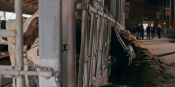 Screenshot 1 from The Wish Swap (Full Movie)