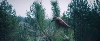 Screenshot 1 from The World Will Tremble (Full Movie)
