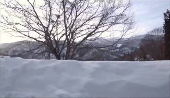 Screenshot 1 from The Zen Diary (Full Movie)