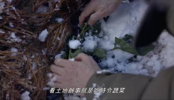 Screenshot 2 from The Zen Diary (Full Movie)