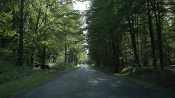 Screenshot 2 from The Zone of Interest (Full Movie)