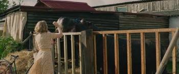 Screenshot 2 from The Zookeeper's Wife (Full Movie)