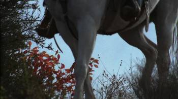 Screenshot 2 from Thicker Than Water (Full Movie)