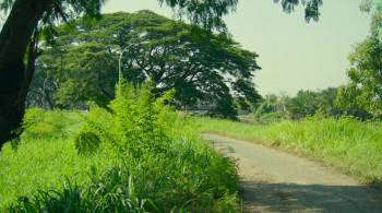 Screenshot 2 from Three Adventures of Brooke (Full Movie)