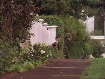 Screenshot 2 from Tieta of Agreste (Full Movie)