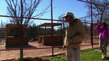 Screenshot 2 from TMZ Investigates: Tiger King - What Really Went Down? (Full Movie)