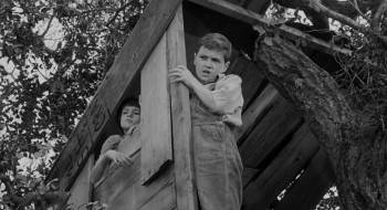 Screenshot 3 from To Kill a Mockingbird (Full Movie)