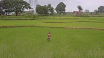Screenshot 3 from To Kill a Tiger (Full Movie)