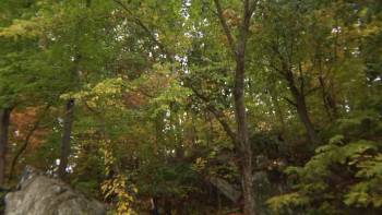 Screenshot 1 from Toad Road (Full Movie)