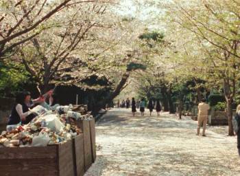 Screenshot 1 from Tokyo-Ga (Full Movie)