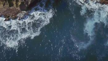 Screenshot 1 from Toxic Shark (Full Movie)