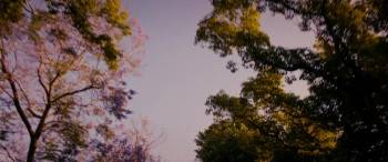 Screenshot 1 from Traveling Light (Full Movie)