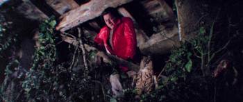 Screenshot 1 from Treasure of the Four Crowns (Full Movie)